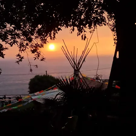 Jardin Del Mar